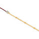 6T Series COB Dry White 4000K 1200 inch Tape Light, Standard